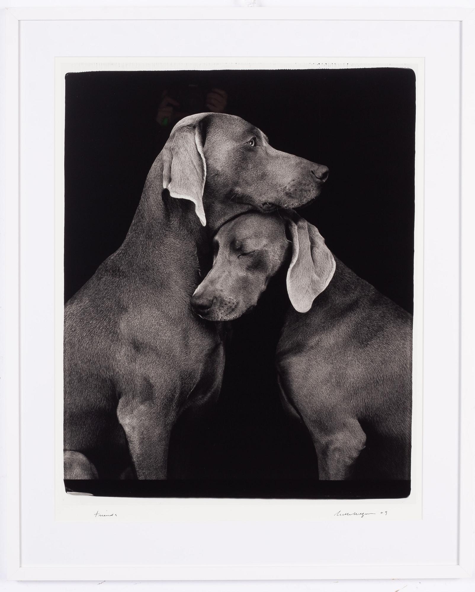 William Wegman, "Friends".