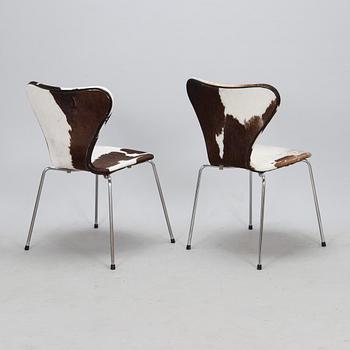 Arne Jacobsen, a set of six 'Serie 7' chairs for Fritz Hansen. Late 1900th century.