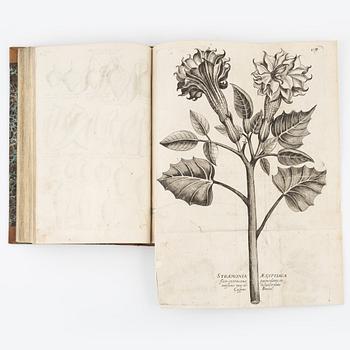 Beautiful botanical work with 177 engravings, 1641 (-44).