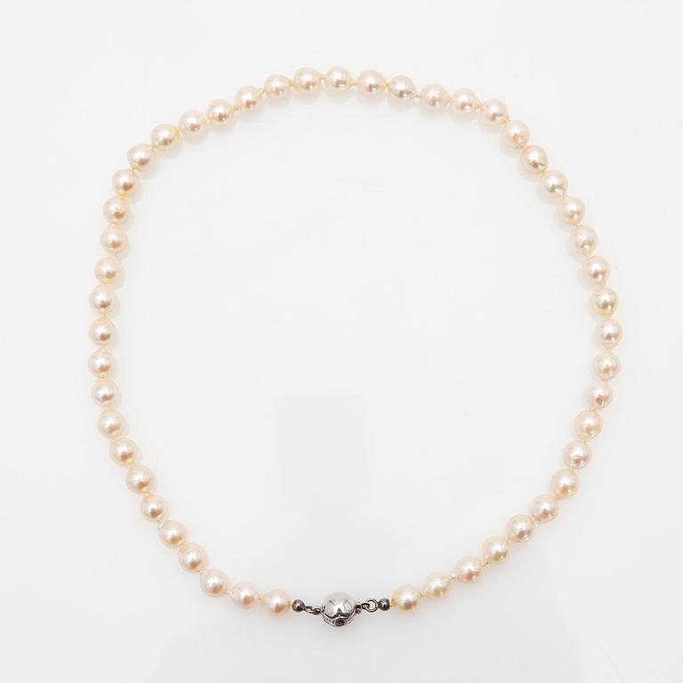 Pearl necklace, clasp in silver with stones.