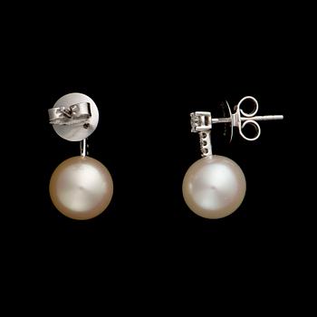 A PAIR OF EARRINGS, freshwater pearls, brilliant cut diamonds. Schoeffel. Weight c. 4.8 g in total.