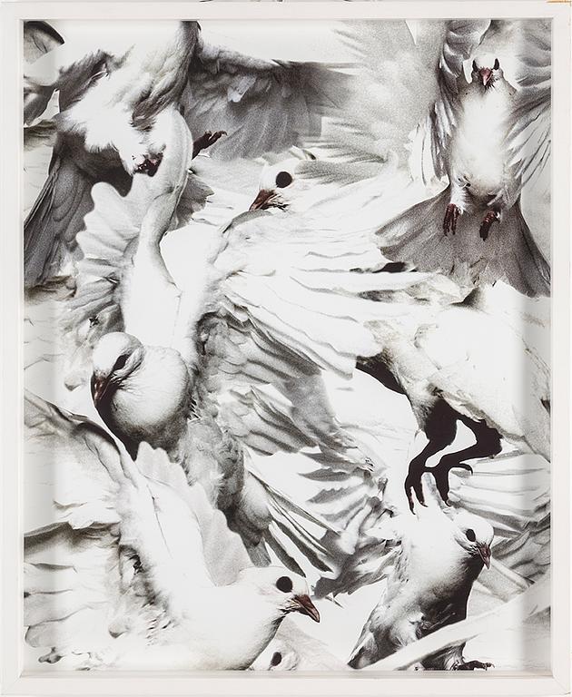 THOMAS KLEMENTSSON, photograph signed, dated and numbered 8/20.