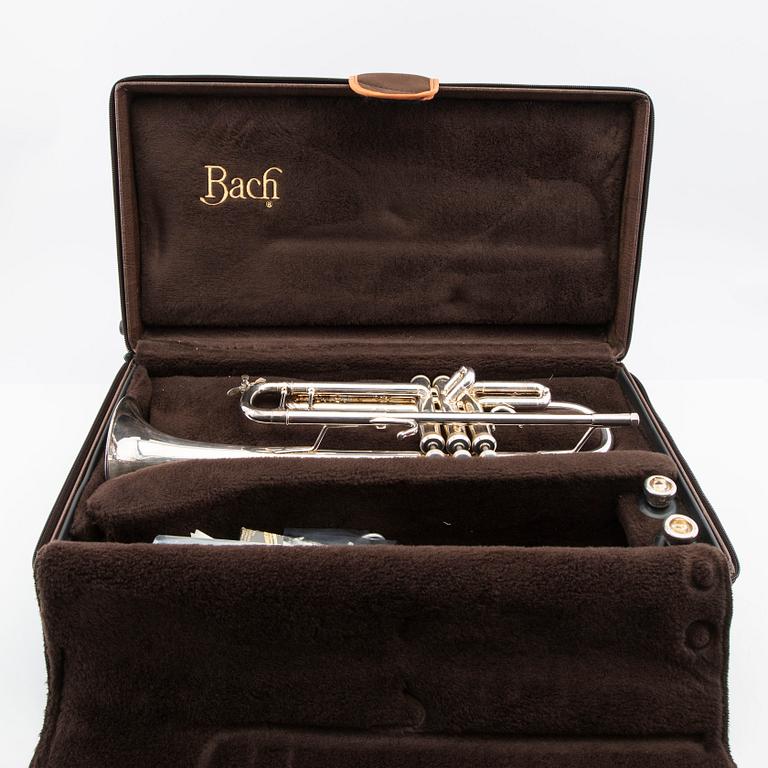 Vincent Bach Trumpet "Stradivarius model 37" number 477460.