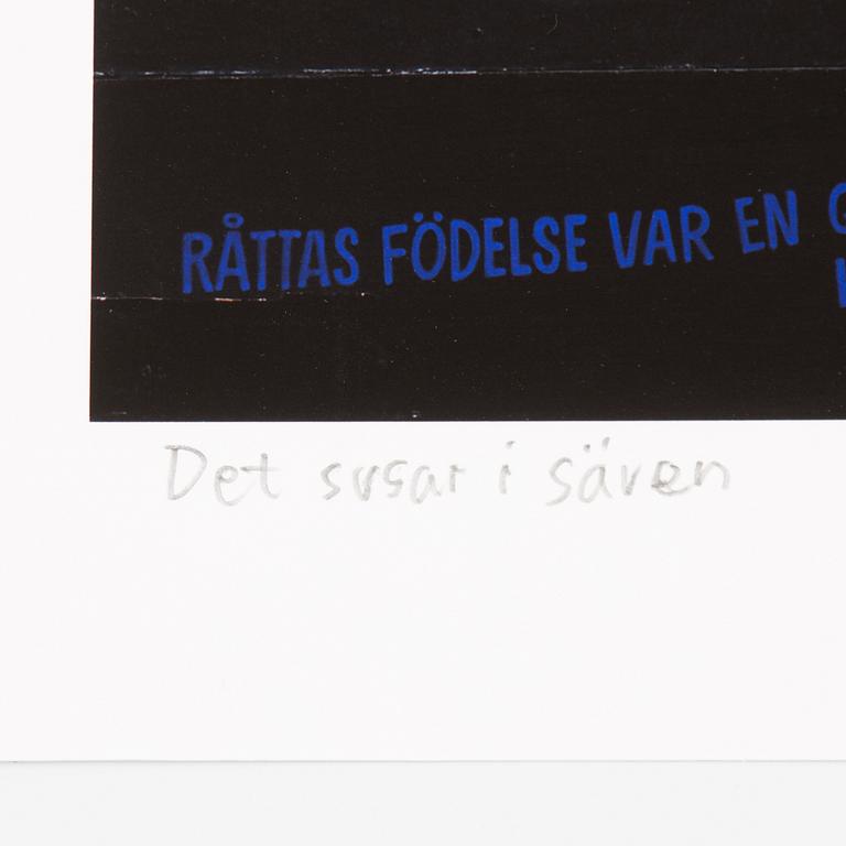 Carl Johan De Geer, "Det susar i säven".
