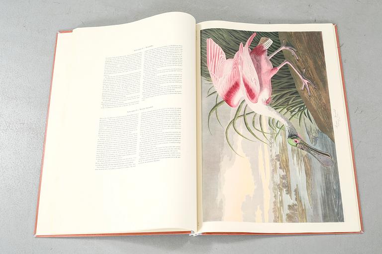 The book "The Birds of America", volume II, by John James Audubon, numbered 178/500, 1973.