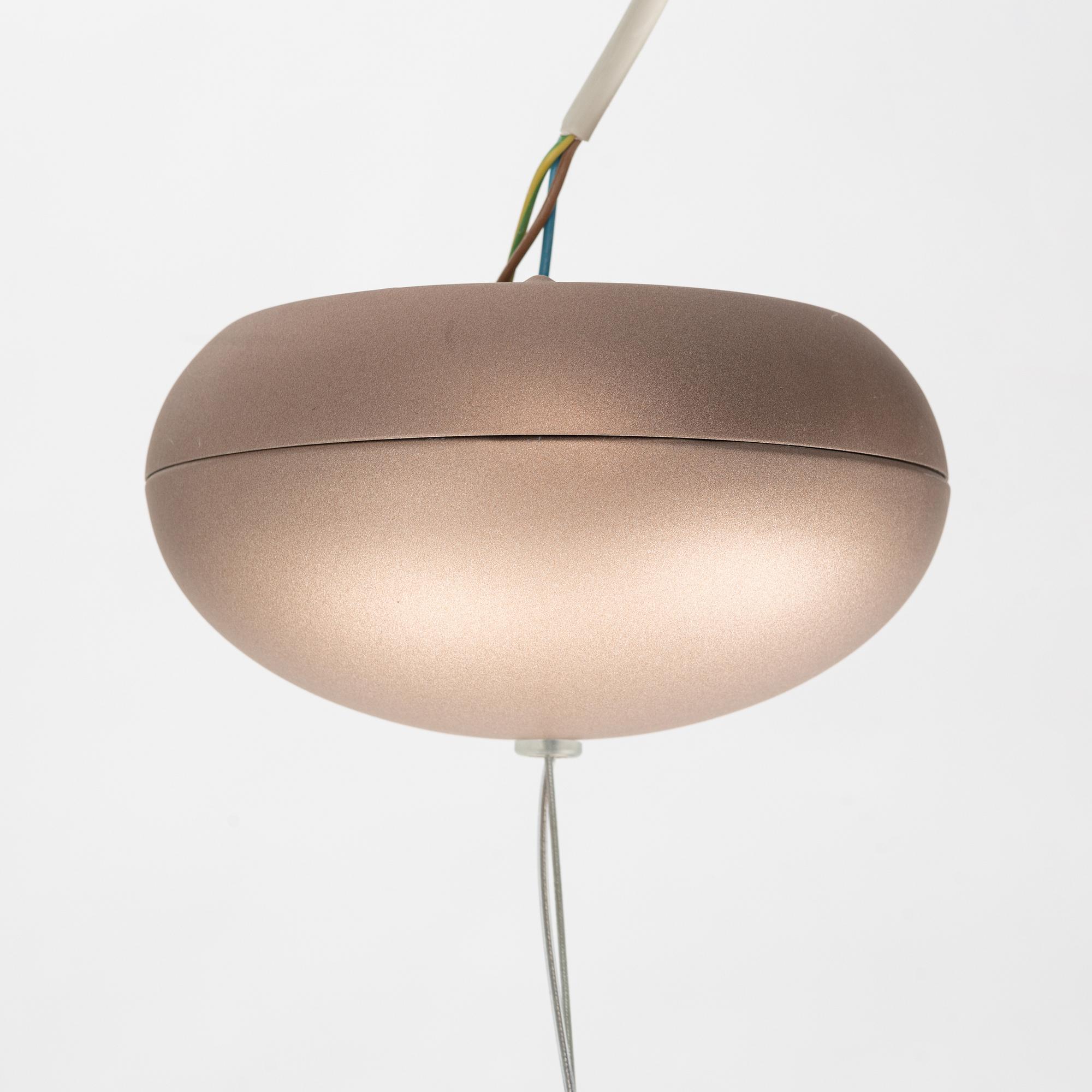 Bertjan Pot, a ceiling lamp, "Heracleum", Moooi, the Netherlands, 21st century.