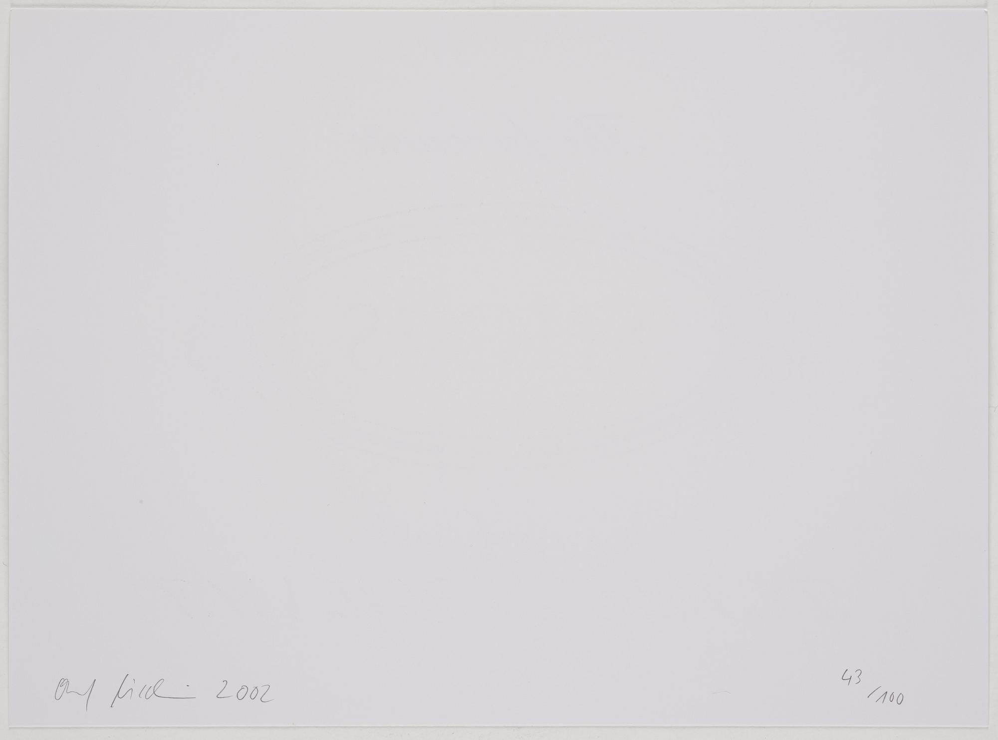Olaf Nicolai, "The Favourite Shoes of Texte zur Kunst".