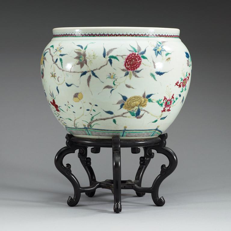 A large famille rose fish basin, late Qing dynasty.