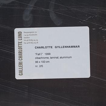 Charlotte Gyllenhammar, "Fall I", 1999.
