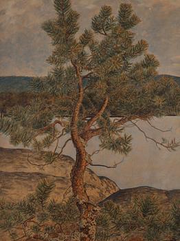 Gustaf Fjaestad, Landscape.