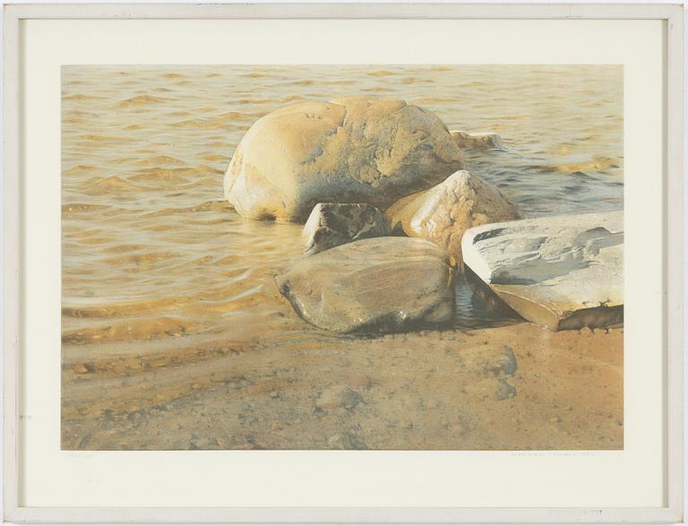 Stanislaw Zoladz, "Solglitter".