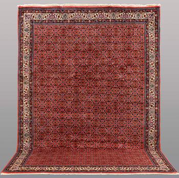 A CARPET, Bidjar, ca 347 x 246 cm.