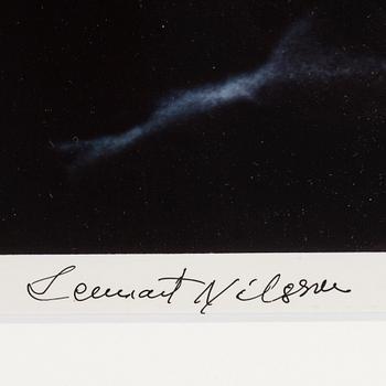 LENNART NILSSON, a cibachrome, signed.