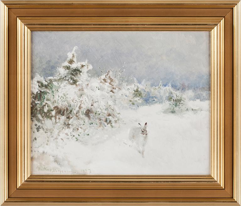Winter hare.