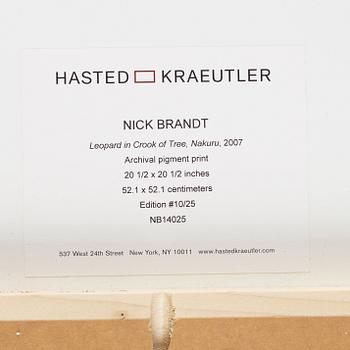 Nick Brandt, "Leopard in Crook of Tree, Nakuru, 2007".