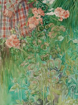 Carl Larsson, "Stött" / "Flicka vid spalier" (Offended/Girl by trellis).