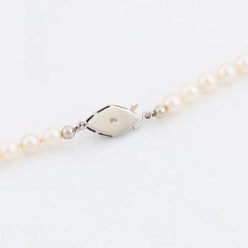 Cultured pearl necklace, clasp 18K white gold.