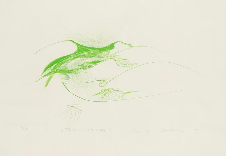 Laila Pullinen, ' Terra Verde'.