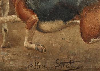 Alfred William Strutt, Rävjakten - straffet.