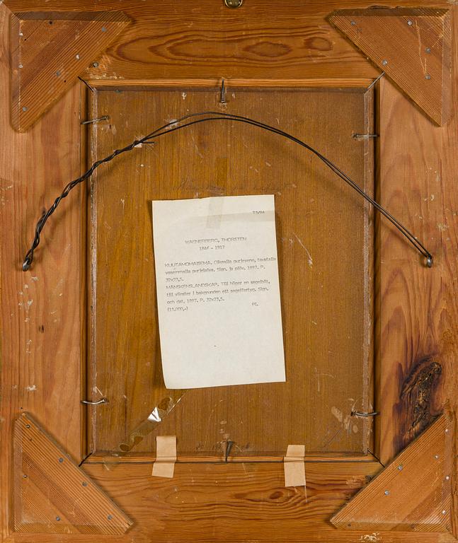 Thorsten Waenerberg, Purjelaivoja iltahämärässä.