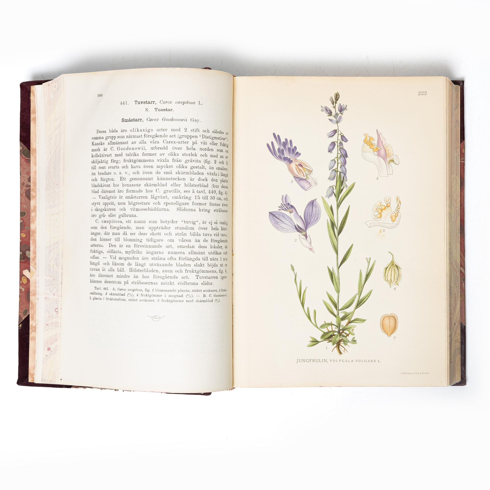 Books, 3 volumes. C.A.M. Lindman, *Bilder ur Nordens Flora*, 1922 and 1926 respectively.