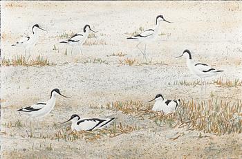 GUNNAR PETTERSSON, 4 st, färglitografier, signerade och numrerade 80/375.