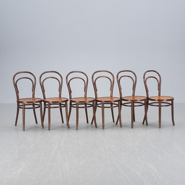 STOLAR, 6 st, Thonet-typ. 1900-tal.
