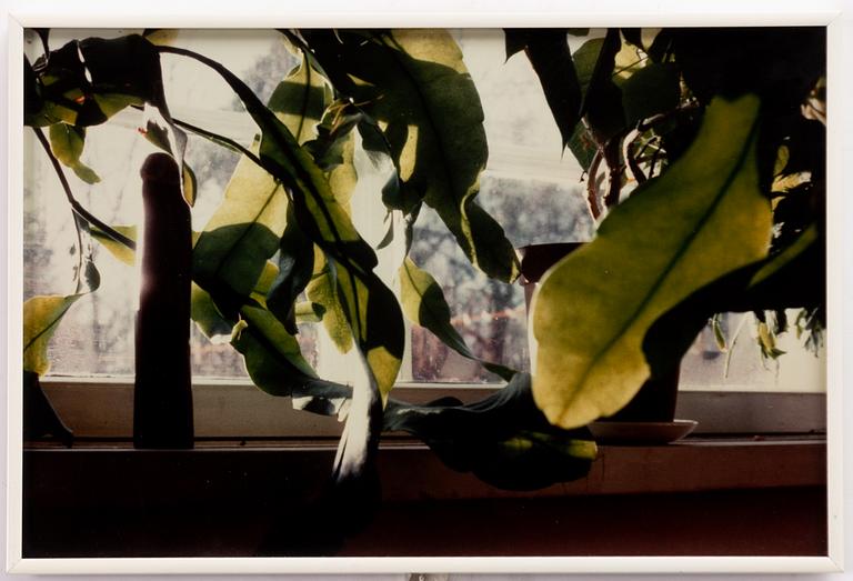 Marianna Uutinen, "Morning".