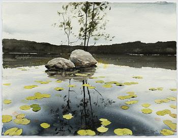 Peter Eugén, Water lily lake with stones.