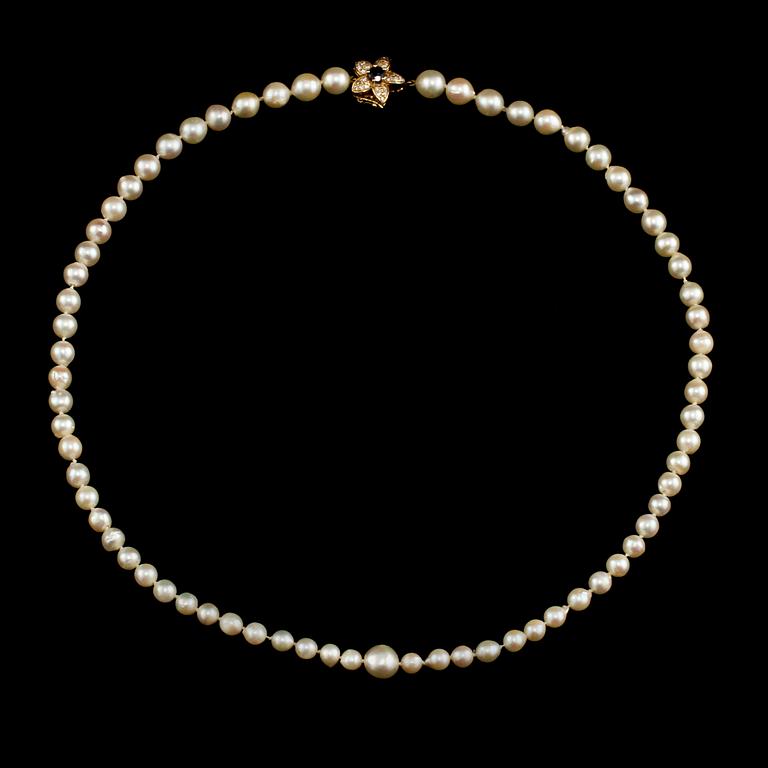 COLLIER, odlade pärlor, lås i 14k guld med 25 små briljantslipade diamanter samt fasettslipad blå safir.
