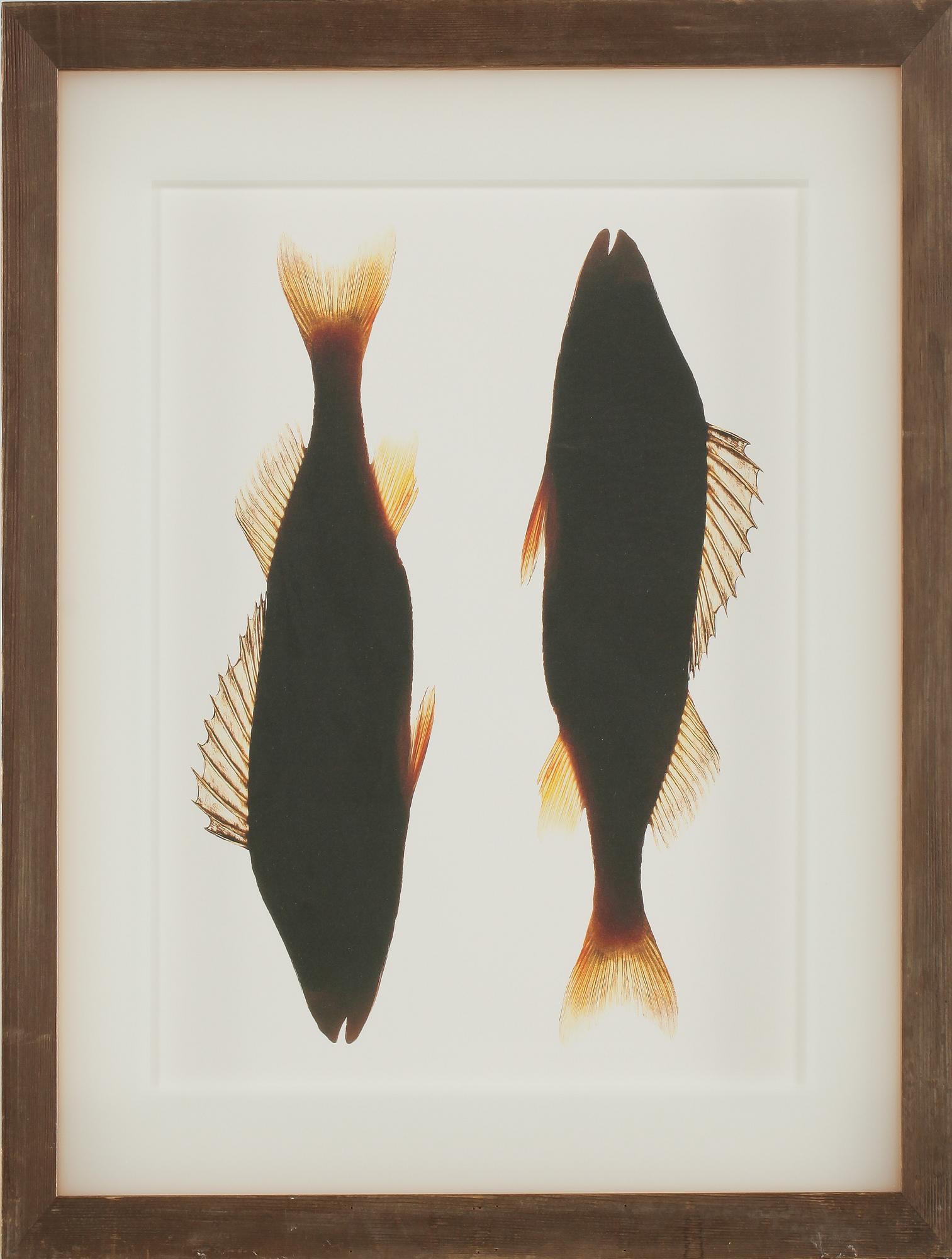 LASSE KÄRKKÄINEN, C-Print? sign o numr 1/20 a tergo, 1996, vintage.