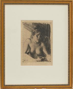 Anders Zorn, Bust.
