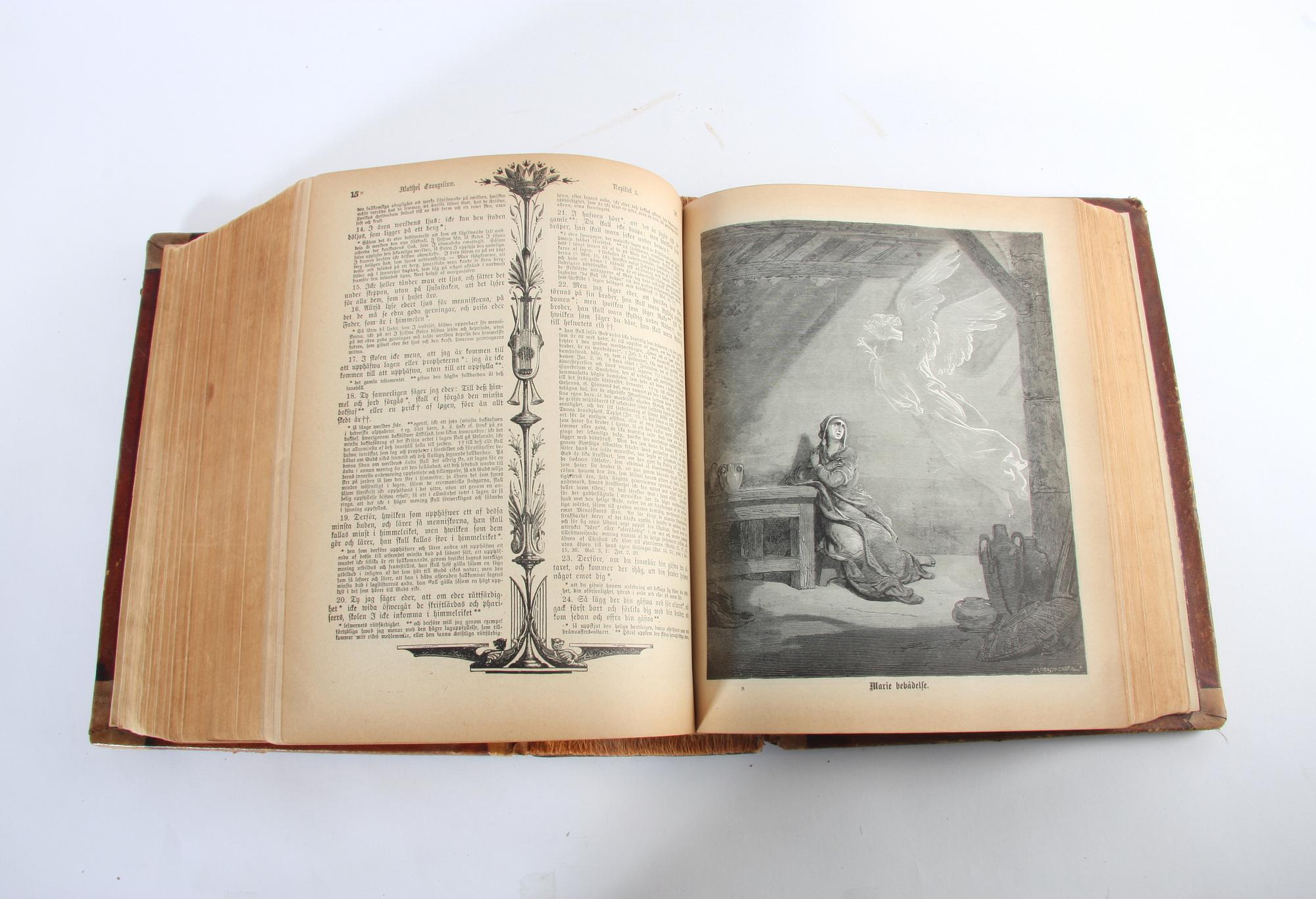 BOK, Den heliga skrift, Tryckt i Chicago, W. R. Vansant, 1889.