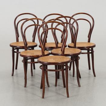 STOLAR, 6 st Thonet. 1900-tal.