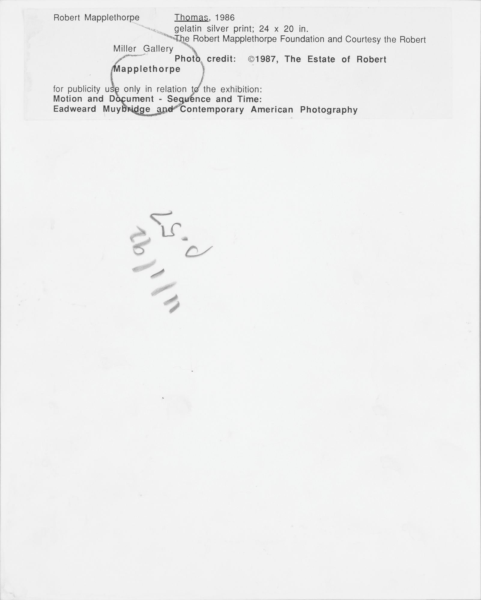 ROBERT MAPPLETHORPE, pressfotografi, silver gelatin på s.k. RC-papper, 1987.
