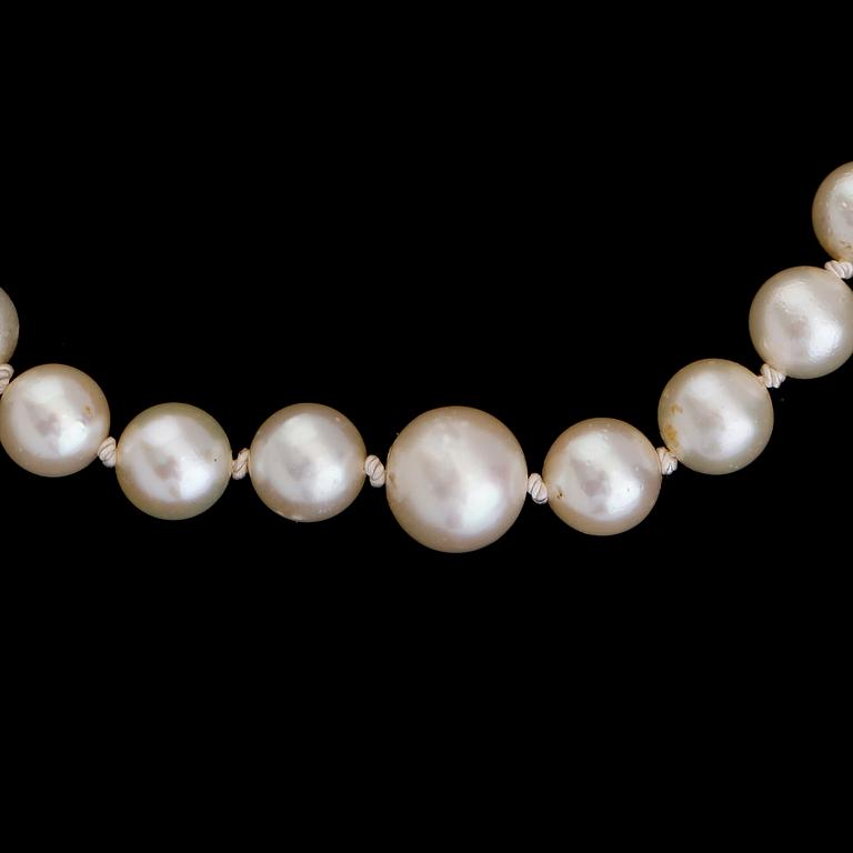 PÄRLCOLLIER, odlade doserade pärlor, silverlås.
