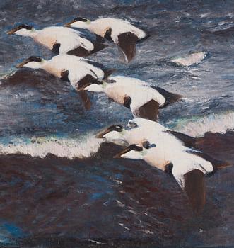 Bruno Liljefors, Eider ducks over the sea.