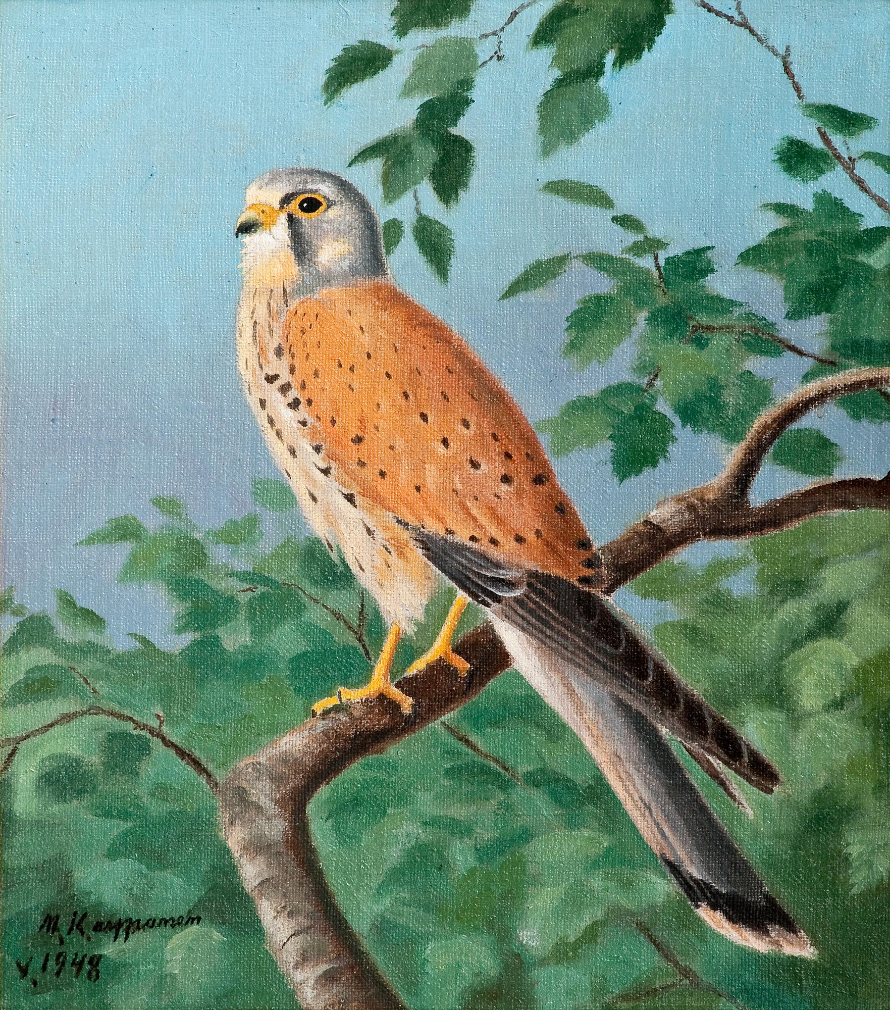 Matti Karppanen, COMMON KESTREL.
