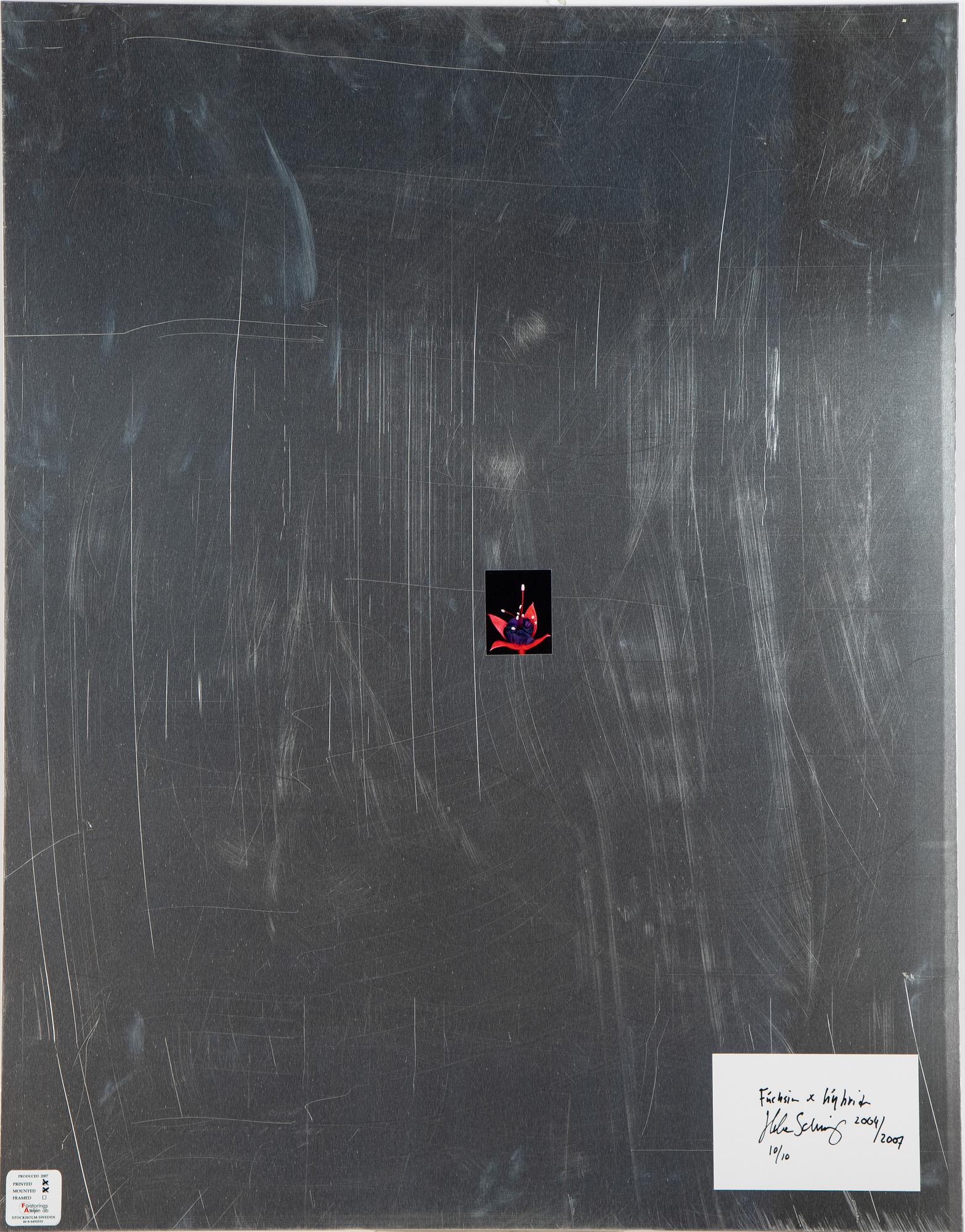 Helene Schmitz, "System och passion2, 4 c-print mounted on aluminum, 2004/2007, signed 10/10.