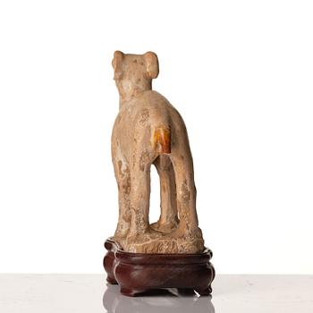 A pottery figure of a dog, Tang dynasty (618-907).