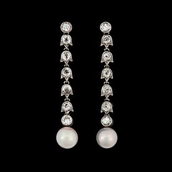A pair of diamond and natural fresh water pearl earrings.