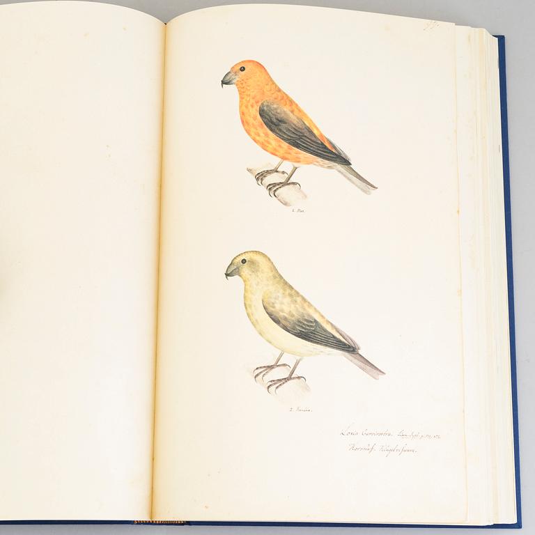 Olof Rudbeck the younger, a portfolio and two books, 1985. Numbered 574/1499. 14 litographs in color are included.