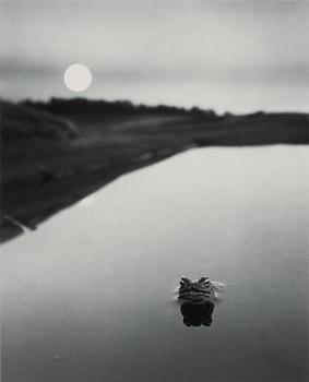 Pentti Sammallahti, Utan titel, 1974.