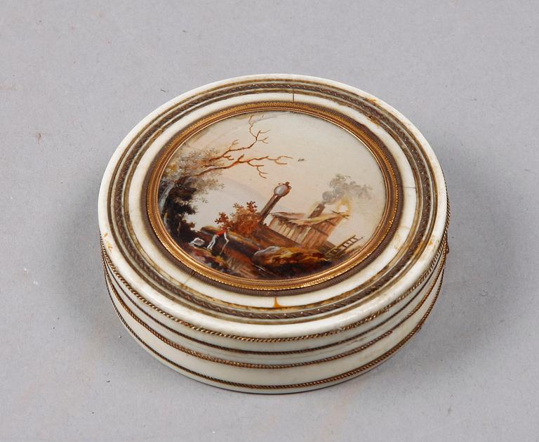 DOSA, ben, sköldpadd, 1800-talets första hälft.