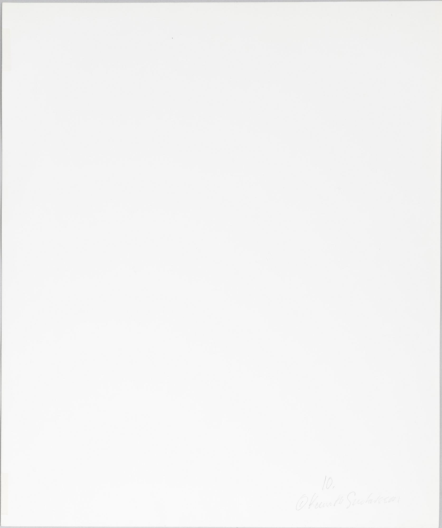 Kenneth Gustavsson, "Utan titel (fågel i boa)", 1985.