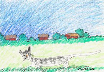 Stig (Slas) Claesson, Translation: "Summer cat".