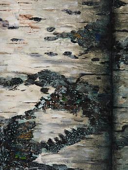 Philip von Schantz, Birch trunks.