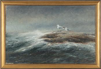 Mosse Stoopendaal, Måsar på skär.