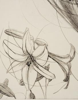 Linn Fernström, "Evigheten".