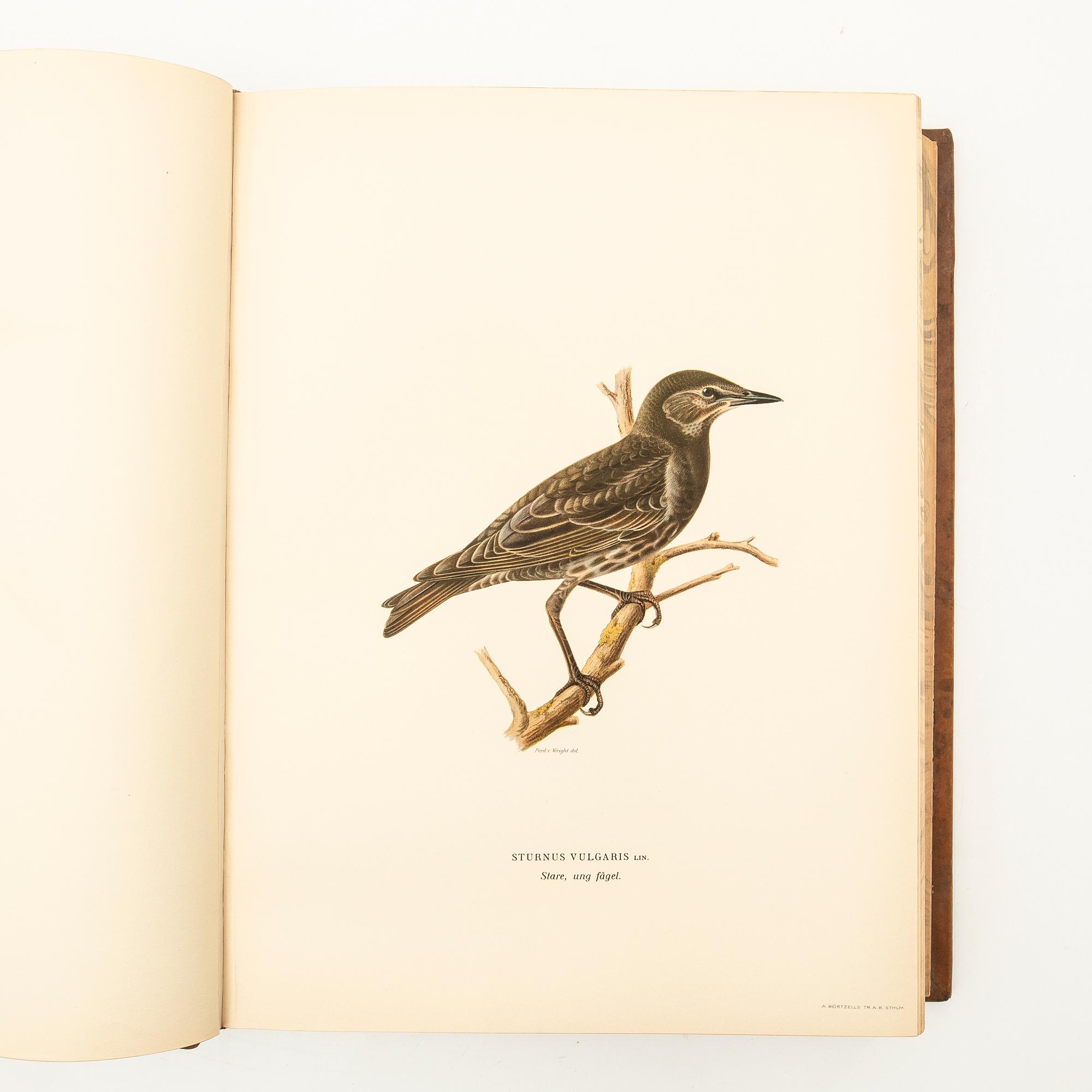 The Wright Brothers, book work, 3 volumes, "Swedish Birds", A. Börtzells tryckeri AB, Ivar Baarsen, Stockholm, 1927-1929.